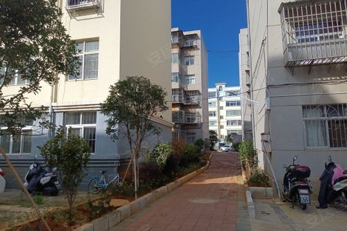 曲靖燃料廠一生活區(qū)居住體驗(yàn)與周邊房產(chǎn)市場觀察